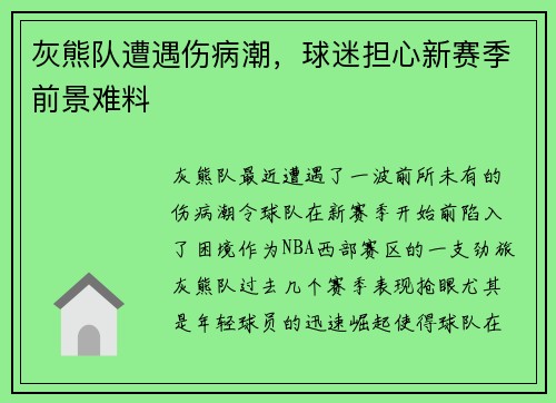 灰熊队遭遇伤病潮，球迷担心新赛季前景难料
